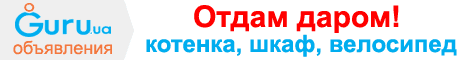 Объявления отдам даром 
BigBN Common